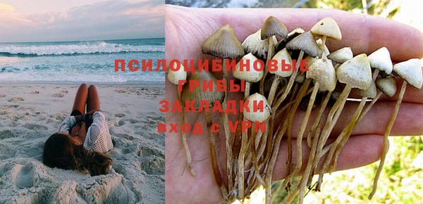 гашишное масло Касимов